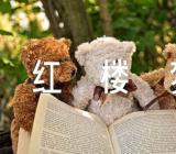 红楼梦一千字作文(合集六篇)