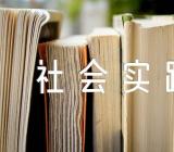 党团基本知识学习与社会实践思想汇报集合3篇
