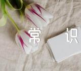 领导礼仪常识四篇