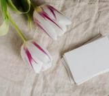 2023年新疆注册会计师准考证打印入口已开通【热】