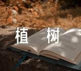 学校植树节班级活动方案【九篇】