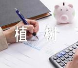 学校植树节创意活动方案集合5篇