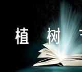 植树节活动方案2000字(通用3篇)