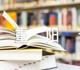 重阳节作文600字左右七篇