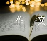 写景作文300字精选四篇