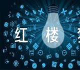 作文红楼梦怎么写【汇编四篇】