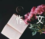春节见闻作文(合集3篇)
