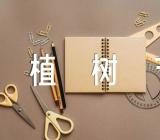 植树节策划方案主题精选九篇