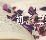 元旦作文600字初三【九篇】