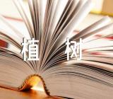 幼儿园有趣植树节活动方案汇编14篇