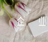 元旦活动方案企业(合集四篇)