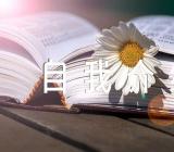 自我介绍征文作文素材精选四篇