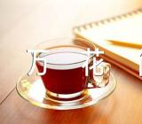 生活万花筒的学生单元作文范文五篇