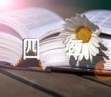 四年级暑假作文(通用3篇)