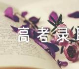 河北大学2023年高考录取结果有哪些查询方式【二篇】