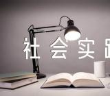 山东综评社会实践报告填写范例范文汇总三篇