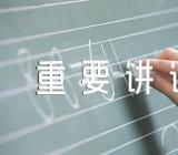 学习习近平总书记视察湖北重要讲话精神心得体会精选3篇