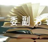 湖南省委副书记精选6篇