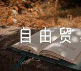 海南自由贸易港建设心得感想集合4篇