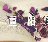 重阳节案例作文锦集四篇