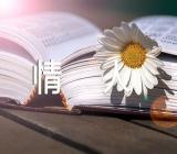七夕情人节活动【5篇】