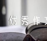 一盏路灯优秀作文精选五篇