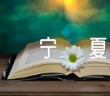 各地婚礼习俗宁夏范文(通用3篇)