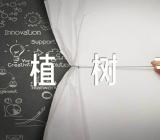 植树节活动作文新颖锦集五篇