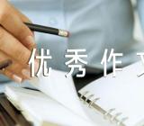 端午节初中优秀作文集合3篇