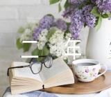 重阳节感想二年级满分作文范文(通用3篇)