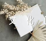 九华山大愿文化园导游词锦集四篇