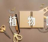 西双版纳热带植物园导游词(合集四篇)