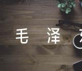 写毛泽东的作文800字精选三篇