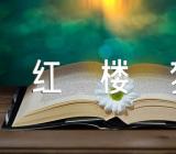 红楼梦前五回读书笔记800字(通用5篇)