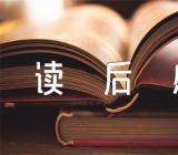 子路曾皙冉有公西华侍坐读后感锦集四篇