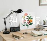 种族歧视高中作文范文四篇