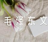 毛泽东文集经典语录精选四篇