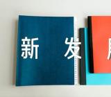 高中作文新时代的新发展800字精选三篇