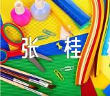 张桂梅作文素材(合集四篇)