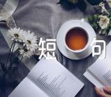 关于舔狗经典语录短句【三篇】