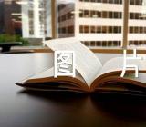 2023兔年手抄报图片8张【汇编二篇】