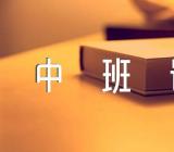 中班语言说课稿优秀集合6篇