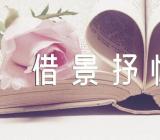 写景色的借景抒情作文【6篇】