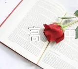 英语端午节日作文高中(合集4篇)