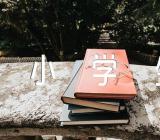 2023小学生元旦手抄报图片精选2篇