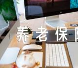 安徽补交养老保险新政策有什么