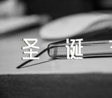 在学校过圣诞节日记范文(精选7篇)