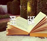 2023年圣诞节酒店促销方案(合集五篇)