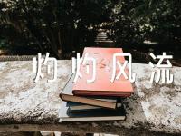《灼灼风流》各人物角色介绍三篇