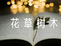 观察花草树木的作文(通用3篇)